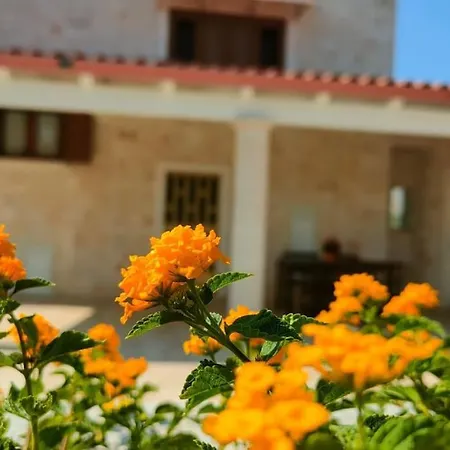 Apartmán Dimora Nonno Lilicchio *